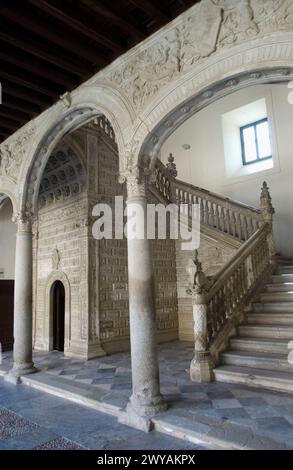 Plateresque Treppenhaus im Museo de Santa Cruz, gegründet von Kardinal Pedro González de Mendoza und erbaut im 16. Jahrhundert von Alonso de Covarrubias. Toledo. Castilla-La Mancha, Spanien. Stockfoto