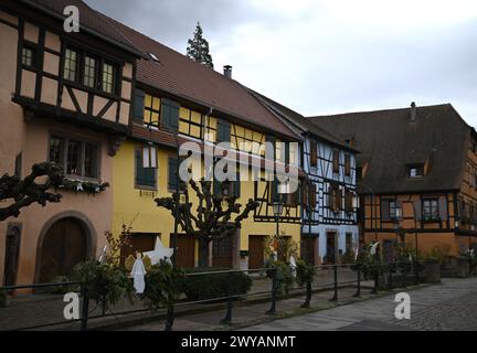 Malerischer Blick auf die traditionellen elsässischen Fachwerkhäuser in der Grand’ Rue, der Hauptstraße von Ribeauvillé im Elsass, Frankreich. Stockfoto
