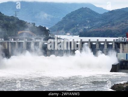 Fuzhou. April 2024. Eine Luftdrohne, die am 5. April 2024 aufgenommen wurde, zeigt, wie das Wasserkraftwerk Shuikou seine Schleusen für die Wasserableitung öffnet, weil die jüngsten Regenfälle am Oberlauf des Minjiang-Flusses in der südöstlichen Provinz Fujian stattgefunden haben. Quelle: Lin Shanchuan/Xinhua/Alamy Live News Stockfoto