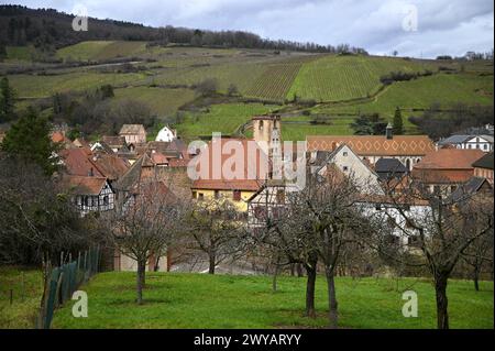 Ländliche Landschaft mit malerischem Blick auf Ribeauvillé, ein malerisches Dorf an der Weinstraße des Elsass in Frankreich. Stockfoto