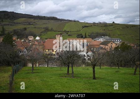 Ländliche Landschaft mit malerischem Blick auf Ribeauvillé, ein malerisches Dorf an der Weinstraße des Elsass in Frankreich. Stockfoto