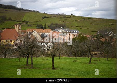 Ländliche Landschaft mit malerischem Blick auf Ribeauvillé, ein malerisches Dorf an der Weinstraße des Elsass in Frankreich. Stockfoto