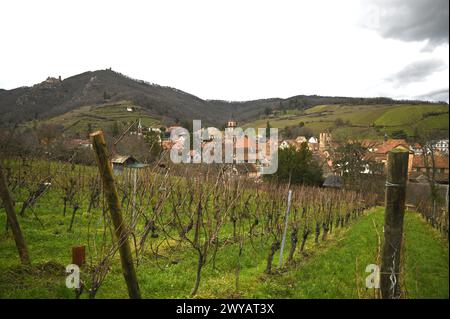 Ländliche Landschaft mit malerischem Blick auf Ribeauvillé, ein malerisches Dorf an der Weinstraße des Elsass in Frankreich. Stockfoto