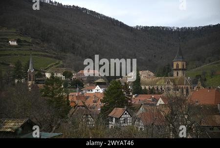 Ländliche Landschaft mit malerischem Blick auf Ribeauvillé, ein malerisches Dorf an der Weinstraße des Elsass in Frankreich. Stockfoto