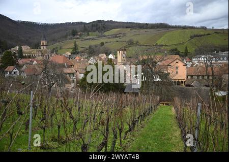 Ländliche Landschaft mit malerischem Blick auf Ribeauvillé, ein malerisches Dorf an der Weinstraße des Elsass in Frankreich. Stockfoto