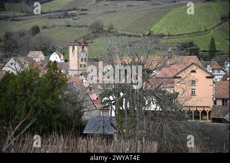 Ländliche Landschaft mit malerischem Blick auf Ribeauvillé, ein malerisches Dorf an der Weinstraße des Elsass in Frankreich. Stockfoto