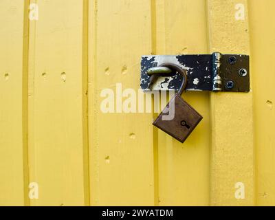 Ein altes und rostiges, nicht verschlossenes Vorhängeschloss hängt im abgenutzten Bracken einer gelben Holztür an einem Werkzeugschuppen im Garten. Stockfoto