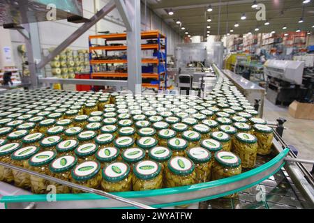 Etikettierung und Verpackung von Gemüse aus Konserven, grüne Bohnen, Konservenindustrie, Agrar- und Lebensmittelindustrie, Logistikzentrum, Grupo Riberebro, Alfaro, La Rioja, Spanien. Stockfoto