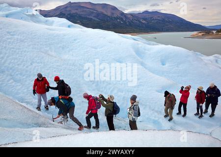 Mini-Trekking. Spazieren Sie auf dem Gletscher mit Steigeisen. Perito Moreno Gletscher. Nationalpark Los Glaciares. In der Nähe von El Calafate. Provinz Santa Cruz. Patagonien. Argentinien. Stockfoto