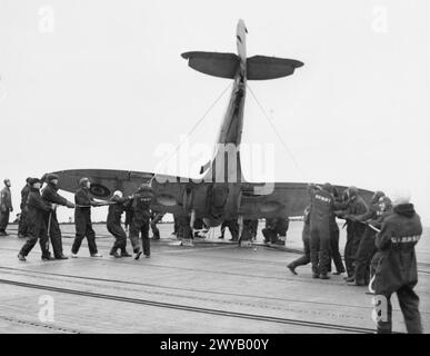 MIT DEM BEGLEITTRÄGER HMS SMITER. 1944, WÄHREND DER AUSBILDUNG VON KONTROLLBEAMTEN FÜR DIE LANDUNG VON DECK. FLUGZEUGE STARTETEN UND LANDETEN WÄHREND DER ÜBUNGEN. - Die Erholung eines Seafire nach einer schweren Landung auf dem Flugdeck des SMITER. , Stockfoto