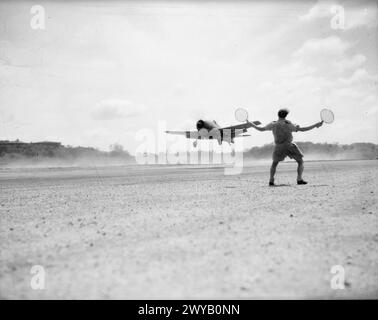 MIT DEM FLOTTENLUFTARM IN DEN TROPEN. JULI 1944: ROYAL MARINEFLUGSTATION PUTTALAM UND ROYAL MARINEFLUGSTATION CHINA BAY. MÄNNER DER FLOTTENFLOTTE, DIE MIT DER OSTFLOTTE IN DEN TROPEN ARBEITEN. - Der Deck Landing Control Officer eines Flugzeugträgers, der ein Flugzeug während des Deck Landing Trainings in China Bay anmeldet. , Stockfoto