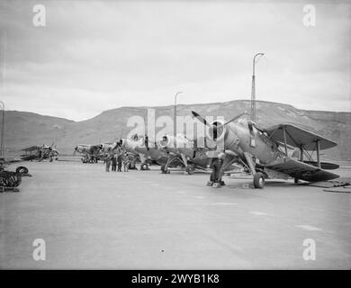 BRITISCHE UND US-AMERIKANISCHE FLUGZEUGE UND KRIEGSSCHIFFE DECKEN DEN RUSSISCHEN KONVOI AB. 29. MAI BIS 3. JUNI 1942 AN BORD DER HMS SIEGREICH AUF SEE UND IN HVALFJORD, ISLAND. - Fairey Albacores rannte auf dem Flugdeck der HMS SIEGREICH in Hvalfjord. , Stockfoto