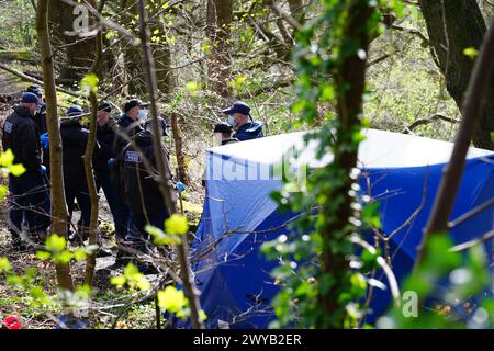 Polizeibeamte in einem forensischen Zelt in Kersal Dale, in der Nähe von Salford, Greater Manchester, wo eine große Untersuchung eingeleitet wurde, nachdem am Donnerstagabend menschliche Überreste gefunden wurden. Die Polizei von Greater Manchester (GMP) sagte, dass Beamte von einem Mitglied der Öffentlichkeit gerufen wurden, der einen „unbekannten Gegenstand in Plastik gewickelt“ fand. Bilddatum: Freitag, 5. April 2024. Stockfoto