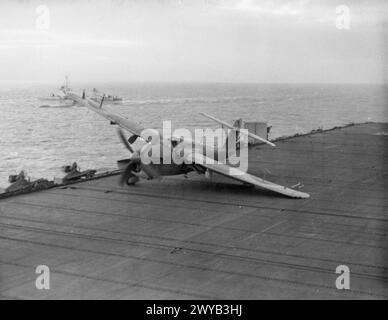 MIT DEM BEGLEITTRÄGER HMS SMITER. 1944, WÄHREND DER AUSBILDUNG VON KONTROLLBEAMTEN FÜR DIE LANDUNG VON DECK. FLUGZEUGE STARTETEN UND LANDETEN WÄHREND DER ÜBUNGEN. - Fairey Barracuda landet schwer auf dem SMITER. Im Hintergrund befindet sich der Zerstörer HMS WALKER. , Stockfoto