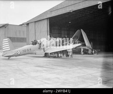 US-MARINEFLIEGER KOMMEN IN GROSSBRITANNIEN AN. APRIL 1942: ROYAL MARINEFLUGSTATION HATSTON. VIER GESCHWADER VON US NAVY, BESTEHEND AUS 9 DOUGLAS TBD DEVASTATOR TORPEDOBOMBERN, 9 GRUMMAN F4F WILDCAT JAGDFLUGZEUGEN UND 29 VOUGHT SB2U VINDICATOR SCOUT BOMBERN, KAMEN IN HATSTON AN, UM MIT DER FLOTTENLUFTWAFFE ZUSAMMENZUARBEITEN. MIT IHNEN SIND 65 US-MARINE-PILOTEN UND 200 ODD-RADIOMEN, LUFTWAFFENSCHÜTZER UND RESERVEN. - Ein britischer Marineoffizier wird über einem neuen amerikanischen Vought SB2U Vindicator Scout Bomber (links) gezeigt, während im Hintergrund eines der gleichen Flugzeuge mit gefalteten Flügeln von US-Mechanikern repariert wird. , Stockfoto