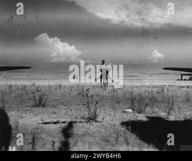 US-ARMEE-LUFTSTREITKRÄFTE (USAAF) IN GROSSBRITANNIEN, 1942-1945 - ein Algerier reitet auf einem Esel an B-17 fliegenden Festungen der 385th Bomb Group auf dem Flugplatz Telerghma vorbei.Offizielle Bildunterschrift: 'A-39.' wurde am 6. September 1943 veröffentlicht. Gedruckte Beschriftung auf der Rückseite: '#3: Native on Burro.' Zensor Nr.: 282462. Umgekehrt: US Army Press Censor ETO und US Army General Section Press & Censorship Bureau [Stamps]. , Stockfoto