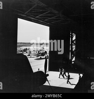 DER LUFTWAFFENARM DER FLOTTE IN DEN USA. DEZEMBER 1943, NEW ENGLAND, USA. AUSBILDUNG DER BRITISCHEN FLOTTENWAFFE IN NEUENGLAND. - 'Scramble!' Bodenbesatzungen laufen zu Zufall-Vought Corsair-Kämpfern des Fleet Air Arms, der Übungsalarm wurde ausgelöst. In Sekundenschnelle werden die Flugzeuge in der Luft sein und hart klettern, um die "Jäger" abzufangen. , Stockfoto