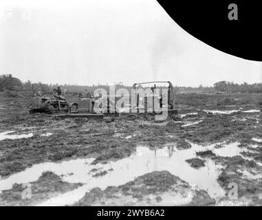 DER FLOTTENLUFTARM IN DEN TROPEN. SEPTEMBER 1944: ROYAL MARINEFLUGSTATION KATUKURUNDA. MÄNNER DER FLOTTENLUFTWAFFE BEREITEN SICH IN IHRER DSCHUNGEL-UMGEBUNG AUF EINEN ENTSCHEIDENDEN SCHLAG GEGEN DIE JAPANER VOR. - Bulldozer, die von Royal Marines angetrieben werden, ebnen aus Dschungel-Gelände, um mehr Landebahnen für die ständig wachsende Anzahl von Geschwadern der Flotte zu schaffen. , Stockfoto