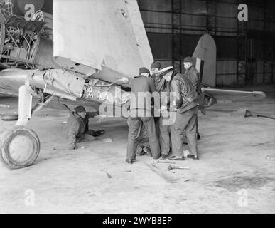 US-MARINEFLIEGER KOMMEN IN GROSSBRITANNIEN AN. APRIL 1942: ROYAL MARINEFLUGSTATION HATSTON. VIER GESCHWADER VON US NAVY, BESTEHEND AUS 9 DOUGLAS TBD DEVASTATOR TORPEDOBOMBERN, 9 GRUMMAN F4F WILDCAT JAGDFLUGZEUGEN UND 29 VOUGHT SB2U VINDICATOR SCOUT BOMBERN, KAMEN IN HATSTON AN, UM MIT DER FLOTTENLUFTWAFFE ZUSAMMENZUARBEITEN. MIT IHNEN SIND 65 US-MARINE-PILOTEN UND 200 ODD-RADIOMEN, LUFTWAFFENSCHÜTZER UND RESERVEN. - Fast der erste Job, den die US-Luftmechaniker bei der Ankunft in Großbritannien leisteten, war die Reparatur eines Flottenluftwaffenflugzeugs amerikanischer Bauart, für das sie Ersatzteile mitgebracht hatten. , Stockfoto