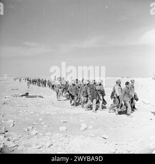 In der Schlacht von El Alamein 1942 wurden deutsche Soldaten der 90. Leichten Division und italienische Truppen von britischen, australischen und Highland Division eingeliefert. Stockfoto