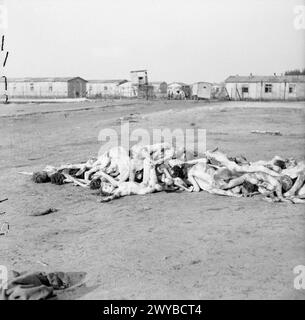 Im April 1945 wurden Leichen der Toten entkleidet und in Haufen des Konzentrationslagers Bergen-Belsen aufgefunden. Stockfoto