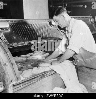 WÄSCHEREI IN KRIEGSZEITEN: DIE ARBEIT VON GLENIFFER WÄSCHEREI, CATFORD, LONDON, ENGLAND, UK, 1944: in der Gleniffer Laundry in Catford entlädt ein Arbeiter Stapel frisch gewaschener Laken aus einer großen Waschmaschine. , Stockfoto