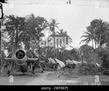 DER FLOTTENLUFTARM IN DEN TROPEN. SEPTEMBER 1944: ROYAL MARINEFLUGSTATION KATUKURUNDA. MÄNNER DER FLOTTENLUFTWAFFE BEREITEN SICH IN IHRER DSCHUNGEL-UMGEBUNG AUF EINEN ENTSCHEIDENDEN SCHLAG GEGEN DIE JAPANER VOR. - Line of Avengers an der von Dschungel gesäumten Station. , Stockfoto