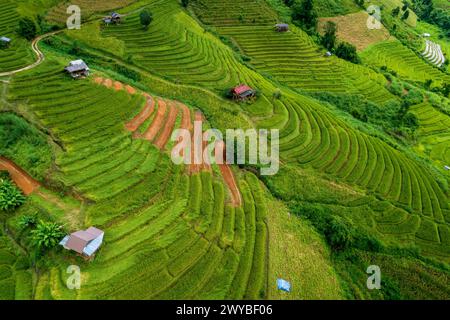 Luftaufnahme über das Reiterfeld des Baan Pa Pong Piang im Norden Thailands. Stockfoto
