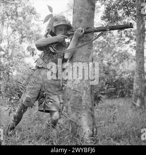 DIE BRITISCHE ARMEE IN MALAYA 1941 – Ein Soldat des 1. Manchester Regiments benutzt einen Baum zur Deckung, während er sein Gewehr anvisiert, 17. Oktober 1941. Britische Armee, Manchester Regiment, 1. Bataillon Stockfoto