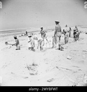 Britische Truppen graben Verteidigungspositionen bei El Alamein im Jahr 1942 während der ersten Schlacht von El Alamein im Nordafrika-Feldzug 1940–1943 aus. Stockfoto