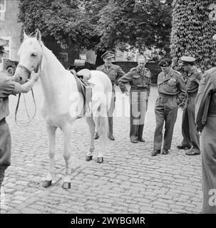 FELDMARSCHALL DER VISCOUNT MONTGOMERY OF ALAMEIN KG GCB DSO 1887-1976 - 1945 - 1976: Feldmarschall Montgomery inspiziert ein Pferd, das der Favorit seines alten Widersachers Feldmarschall Erwin Rommel in Holland gewesen war. Ebenfalls auf dem Foto ist Prinz Bernhardt von Holland, der Montgomery gerade mit dem Königlichen Löwenorden der Niederlande dekoriert hatte. Montgomery, Bernard Law, Bernhard, Prinz Stockfoto