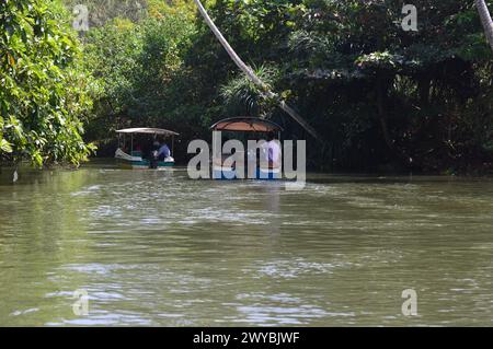 Poovar Thiruvananthapuram, kerala, Indien - 8. April 2024. Bootstour durch das Hinterwasser von Poovar. Erstaunlich unerforschtes, ruhiges Hinterwasser. Stockfoto