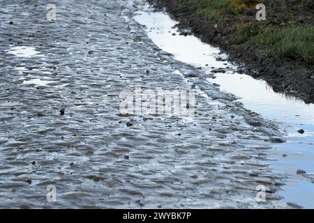 Frankreich. April 2024. © PHOTOPQR/VOIX DU NORD/STEPHANE MORTAGNE ; 05/04/2024 ; Haveluy, le 05/04/2023, Reconnaissance du Parcours de Paris Roubaix par les Coureurs FOTO STEPHANE MORTAGNE LA VOIX DU NORD Erkundung der Strecke vor dem diesjährigen Radrennen Paris-Roubaix, Freitag, 05. April 2024, rund um ROUBAIX, Frankreich. Quelle: MAXPPP/Alamy Live News Stockfoto