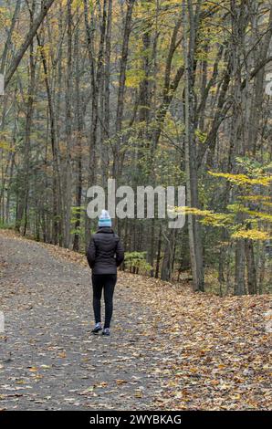 Frau, die auf einem Wanderweg im Taughannock Falls State Park (cayuga Lake bei ithaca, Upstate New york) im Herbst mit Herbstlaub (verlässt changi Stockfoto