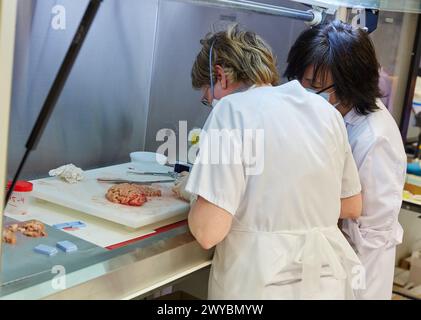 Makros-Bereich, Schnitzen, Auswahl der Gehirngewebeprobe, Anatomische Pathologie, Krankenhaus Donostia, San Sebastian, Gipuzkoa, Baskenland, Spanien. Stockfoto