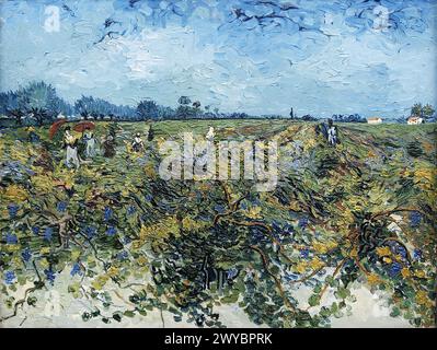 "The Green Vineyard" (1888) von Vincent Van Gogh. Kröller-Müller Museum, Het Nationale Park De Hoge Veluwe. Gelderland, Niederlande. Stockfoto