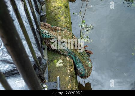 Chalfont St Peter, Großbritannien. April 2024. Ein Teil des Dorfes Chalfont St Peter bleibt für Fahrzeuge gesperrt, da Thames Water und ihre Auftragnehmer weiterhin Grundwasser und Abwasser aus Schächten im Dorf Chalfont St Peter in Buckinghamshire pumpen. Dem Vernehmen nach gibt es dort seit dem 2. Januar 2024 Wasser auf der Themse. Sieben Tanker standen heute an, um Abwasser zu entfernen. Das Wasser der Themse pumpte manchmal überschüssiges Abwasser direkt in den Fluss Misbourne, einen wertvollen Kreidefluss. Heute ist die Muttergesellschaft von Thames Water Berichten zufolge mit Schulden von in Verzug geraten Stockfoto