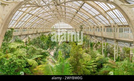 Kew, Richmond, Vereinigtes Königreich; 3. April 2024 – das gemäßigte Haus wurde im Mai 1863 eröffnet und ist ein Schauhaus der Kategorie I für die größten Werke in Kew. Stockfoto