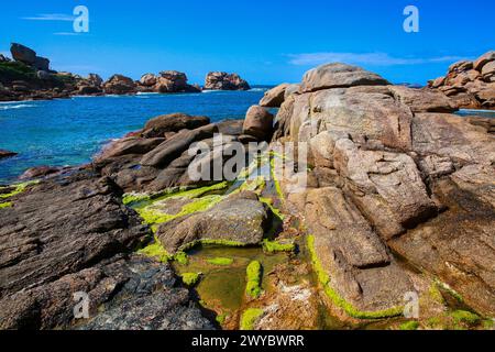 Riesige Felsen an der Côte de Granit Rose (rosa Granitküste), Ploumanac'h, Perros-Guirec, Bretagne, Bretagne, Bretagne, Frankreich. Stockfoto