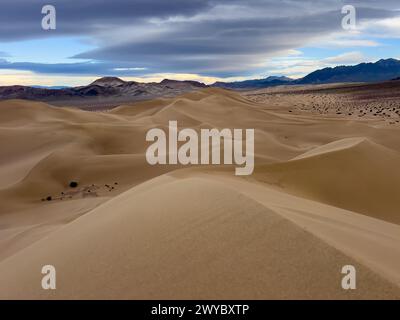 Die spektakulären Sanddünen des Steinbocks im Death Valley National Park, Kalifornien, USA Stockfoto