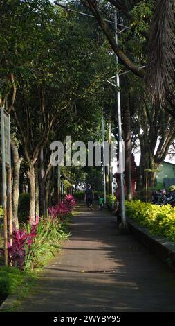 Fußweg im Park Singha Malang, der von großen schattigen Bäumen umgeben ist Stockfoto