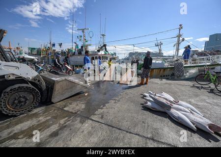 Fischer in einem Hafen laden gefrorenen Fisch von einem Boot an einem sonnigen Tag mit Fischerbooten im Hintergrund herunter Stockfoto