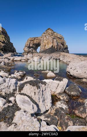 Republik Irland, County Donegal, Fanad Peninsula, Great Pollet Arch, der größte Meeresbogen auf der Insel Irland, der auf einer Höhe von 150 Metern steht. Stockfoto