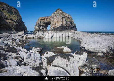 Republik Irland, County Donegal, Fanad Peninsula, Great Pollet Arch, der größte Meeresbogen auf der Insel Irland, der auf einer Höhe von 150 Metern steht. Stockfoto