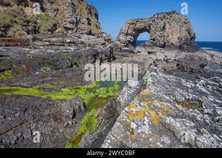 Republik Irland, County Donegal, Fanad Peninsula, Great Pollet Arch, der größte Meeresbogen auf der Insel Irland, der auf einer Höhe von 150 Metern steht. Stockfoto