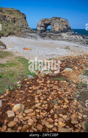 Republik Irland, County Donegal, Fanad Peninsula, Great Pollet Arch, der größte Meeresbogen auf der Insel Irland, der auf einer Höhe von 150 Metern steht. Stockfoto