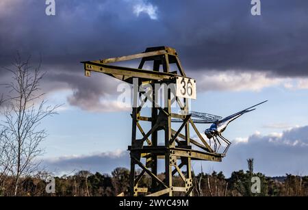 Surrey Hills Thursley und Fresnsham Common Lowland Heath SSI SPA Stockfoto