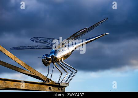 Surrey Hills Thursley und Fresnsham Common Lowland Heath SSI SPA Stockfoto