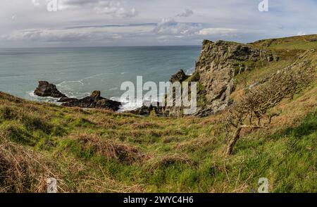 Ausblicke und Landschaft rund um Timtagel an der westlichen cornwall Küste Südwestküstenpfad boscastle bodmin Moor Stockfoto