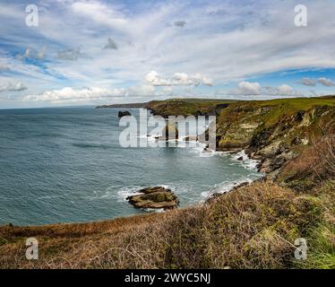 Ausblicke und Landschaft rund um Timtagel an der westlichen cornwall Küste Südwestküstenpfad boscastle bodmin Moor Stockfoto